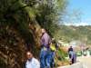 treeplanting_2016_23.jpg
