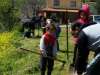 treeplanting_2016_30.jpg