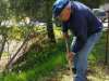treeplanting_2016_22.jpg