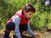 treeplanting_2016_24.jpg