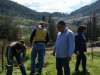 treeplanting_2016_06.jpg