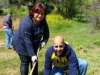 treeplanting_2016_03.jpg
