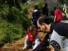 treeplanting_2016_18.jpg