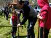 treeplanting_2016_17.jpg