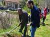 treeplanting_2016_25.jpg