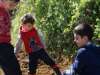 treeplanting_2016_16.jpg