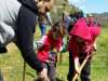 treeplanting_2016_05.jpg